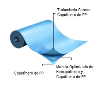 TRANSPARENTE PARA CONVERSION
